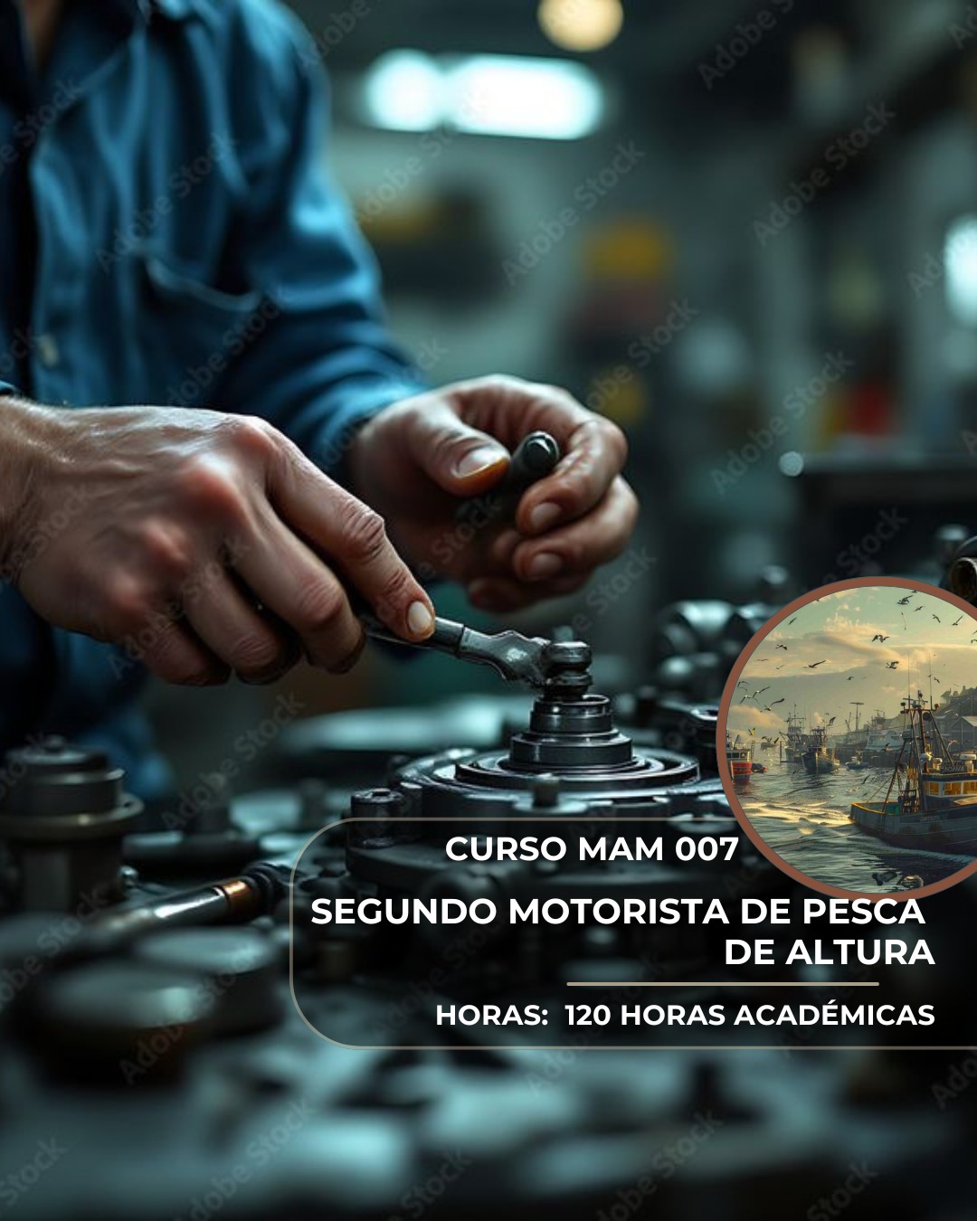 Imagen de WhatsApp 2025-09-01 a las 12.53.02_1f5c1fca