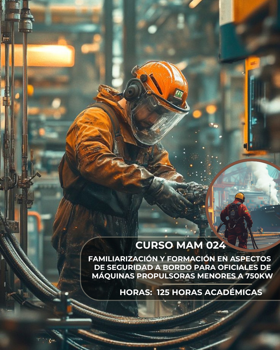 Imagen de WhatsApp 2025-09-01 a las 12.53.03_a6f84685